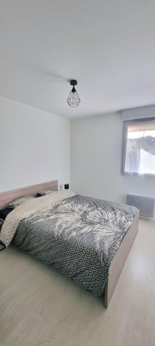 Apartmán T2 Pool & Terrasse - Parking - Metro - Wifi Toulouse Exteriér fotografie